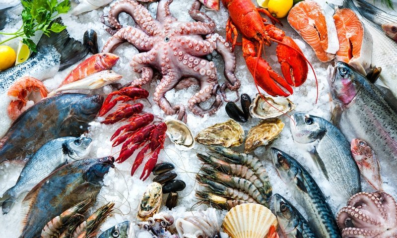 Обои осьминог, омар, лёд, лимон, рыба, морепродукты, креветки, петрушка, раки, octopus, omar, ice, lemon, fish, seafood, shrimp, parsley, cancers разрешение 9000x6000 Загрузить