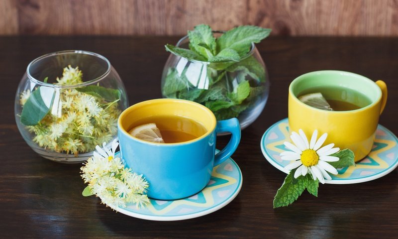 Обои цветы, мята, ромашка, лимон, чашка, чай, травы, flowers, mint, daisy, lemon, cup, tea, grass разрешение 5184x3456 Загрузить