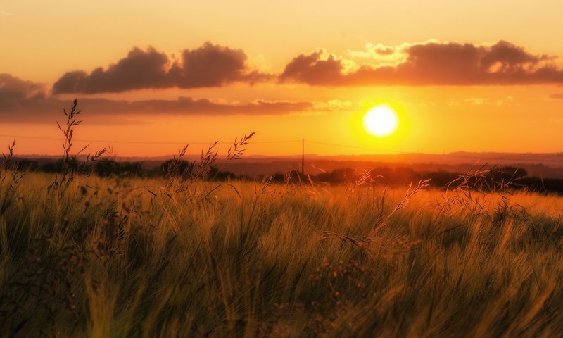 Обои трава, облака, закат, поле, горизонт, долина, оранжевое небо, grass, clouds, sunset, field, horizon, valley, orange sky разрешение 2048x1137 Загрузить