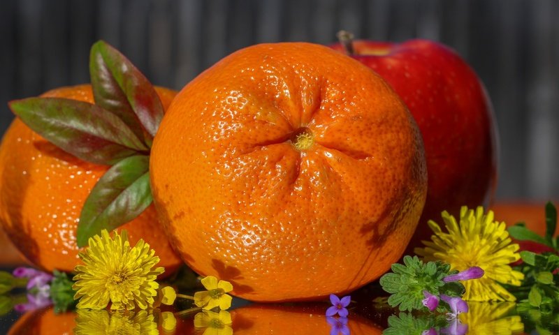 Обои цветы, фрукты, апельсин, яблоко, цитрус, flowers, fruit, orange, apple, citrus разрешение 2048x1278 Загрузить