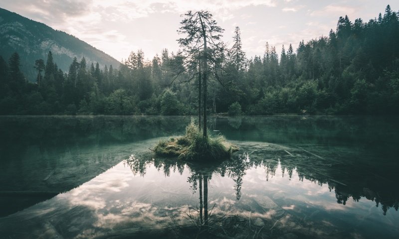 Обои небо, озеро, дерево, лес, отражение, ветки, the sky, lake, tree, forest, reflection, branches разрешение 2048x1365 Загрузить