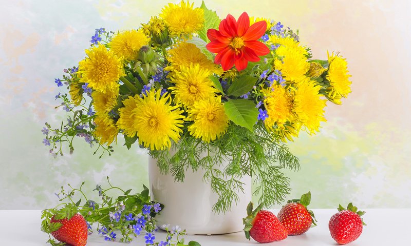 Обои цветы, клубника, ягоды, одуванчики, незабудки, натюрморт, георгин, flowers, strawberry, berries, dandelions, forget-me-nots, still life, dahlia разрешение 2009x1448 Загрузить