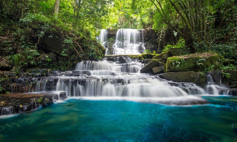 Обои деревья, река, камни, лес, водопад, мох, джунгли, trees, river, stones, forest, waterfall, moss, jungle разрешение 6016x4016 Загрузить