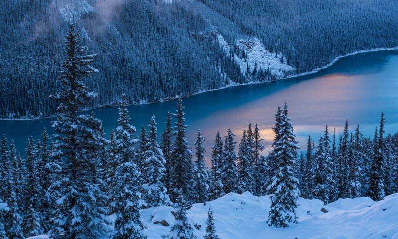 Обои река, природа, лес, зима, river, nature, forest, winter разрешение 2880x1800 Загрузить