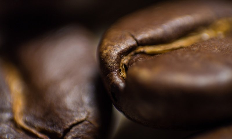 Обои кофе, кофейные зерна, крупным планом, coffee, coffee beans, closeup разрешение 4608x3072 Загрузить