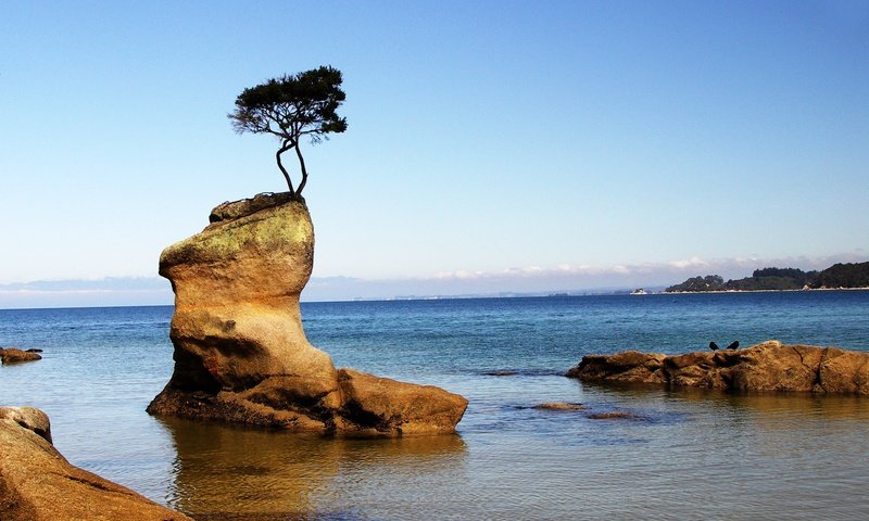 Обои небо, скалы, дерево, море, горизонт, побережье, the sky, rocks, tree, sea, horizon, coast разрешение 2668x1900 Загрузить