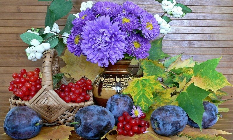 Обои цветы, листья, корзина, ягоды, натюрморт, сливы, калина, астры, flowers, leaves, basket, berries, still life, plum, kalina, asters разрешение 1920x1200 Загрузить