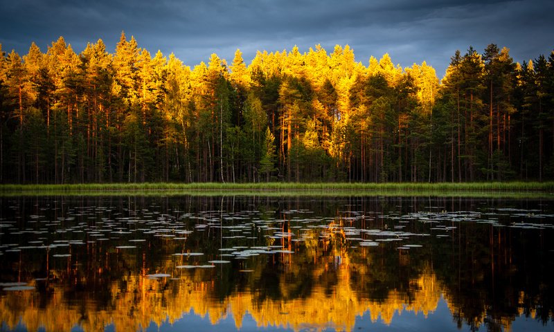 Обои небо, деревья, озеро, природа, лес, отражение, осень, the sky, trees, lake, nature, forest, reflection, autumn разрешение 4188x2781 Загрузить