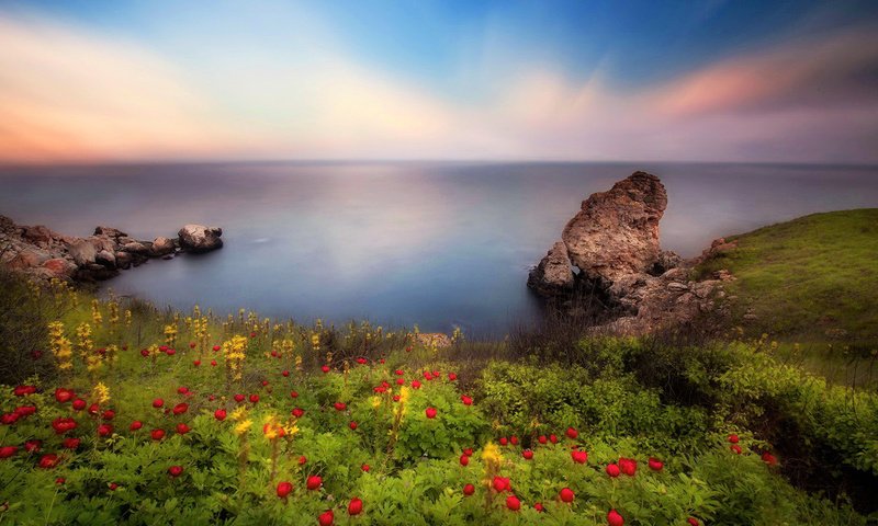 Обои небо, цветы, скалы, берег, пейзаж, море, the sky, flowers, rocks, shore, landscape, sea разрешение 1920x1080 Загрузить