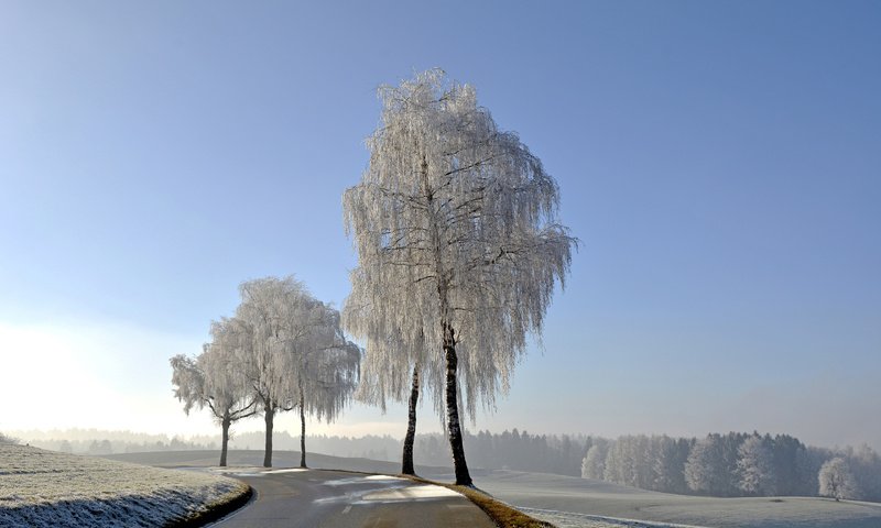 Обои небо, дорога, деревья, природа, зима, иней, the sky, road, trees, nature, winter, frost разрешение 3840x2400 Загрузить