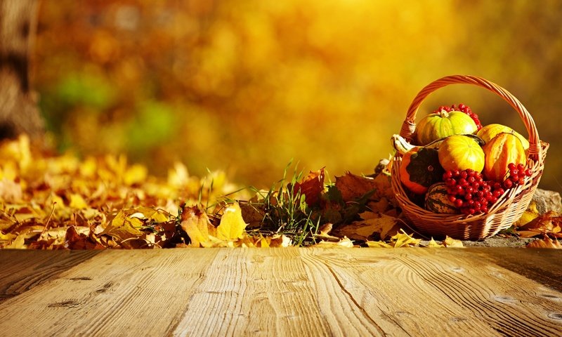 Обои природа, листья, осень, ягоды, тыква, nature, leaves, autumn, berries, pumpkin разрешение 3000x1883 Загрузить