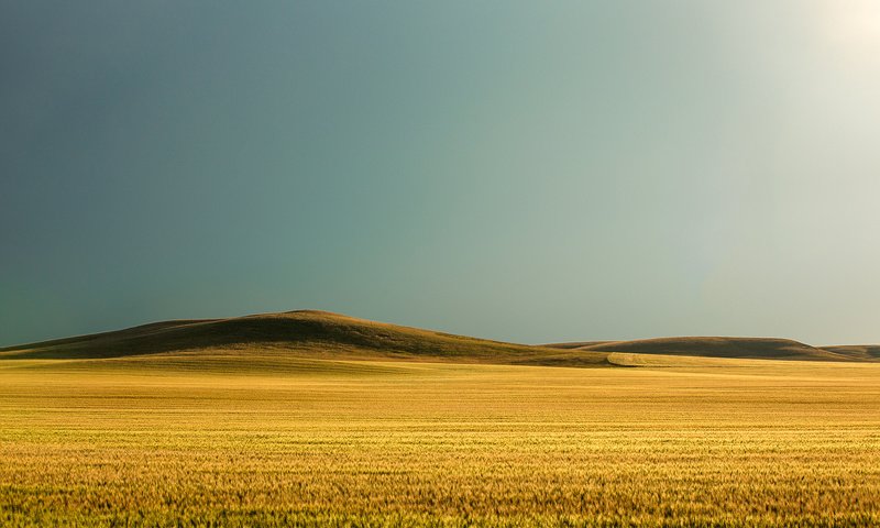 Обои небо, todd klassy, природа, поле, горизонт, сша, пшеница, холм, монтана, the sky, nature, field, horizon, usa, wheat, hill, montana разрешение 2048x1365 Загрузить