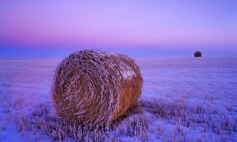 Обои снег, заморозки, закат, северная дакота, поле, сено, иней, сша, солома, стог, snow, freezing, sunset, north dakota, field, hay, frost, usa, straw, stack разрешение 1920x1200 Загрузить