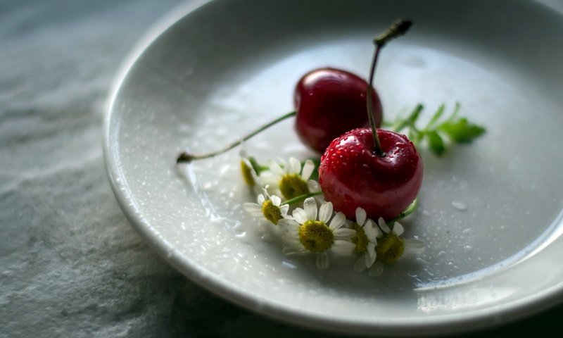 Обои цветы, ромашка, черешня, блюдце, ягоды, вишня, julie jablonski, flowers, daisy, cherry, saucer, berries разрешение 2560x1663 Загрузить