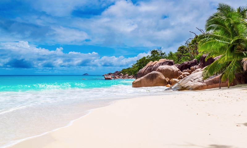 Обои море, пляж, тропики, сейшелы, sea, beach, tropics, seychelles разрешение 6605x4408 Загрузить