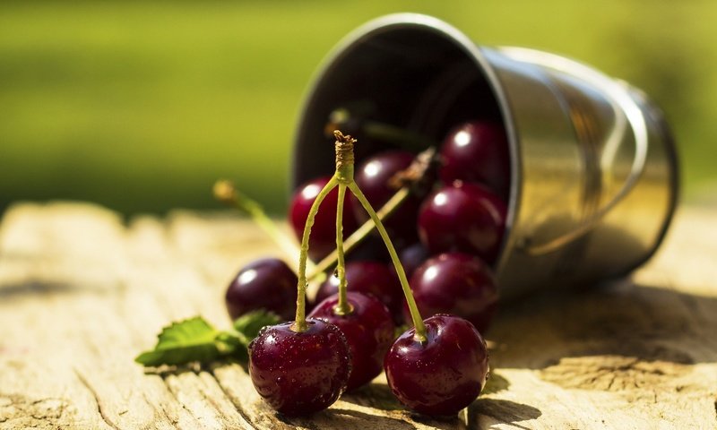 Обои макро, черешня, ягоды, вишня, сладкая, сочная, ведерко, ведерко., macro, cherry, berries, sweet, juicy, bucket разрешение 2048x1331 Загрузить