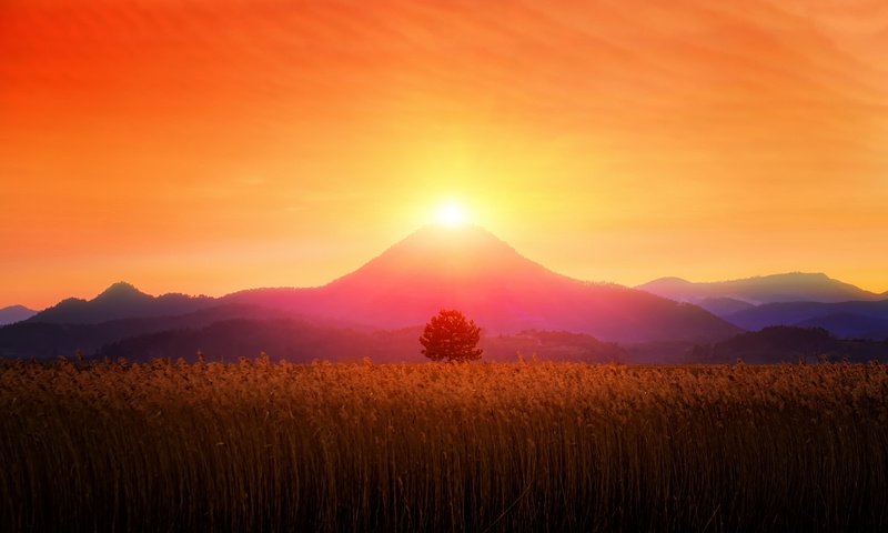 Обои небо, горы, солнце, растения, закат, the sky, mountains, the sun, plants, sunset разрешение 2500x1569 Загрузить