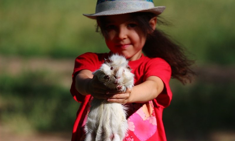 Обои взгляд, девочка, ребенок, животное, шляпа, морская свинка, look, girl, child, animal, hat, guinea pig разрешение 1920x1280 Загрузить