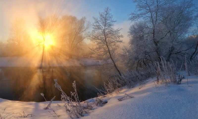 Обои солнце, снег, природа, лес, зима, утро, zhmak evgeniy, the sun, snow, nature, forest, winter, morning разрешение 1920x1200 Загрузить