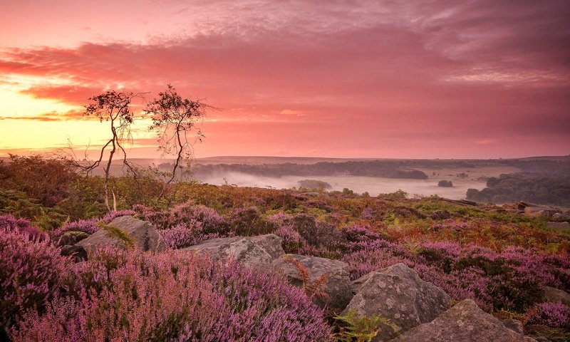 Обои цветы, облака, деревья, камни, англия, зарево, дербишир, flowers, clouds, trees, stones, england, glow, derbyshire разрешение 2048x1292 Загрузить