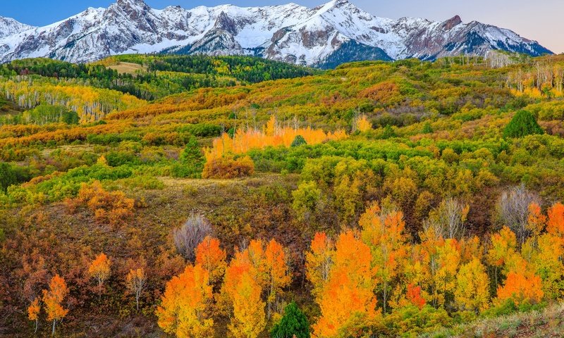 Обои деревья, горы, склон, осень, сша, колорадо, аспен, trees, mountains, slope, autumn, usa, colorado, aspen разрешение 1920x1227 Загрузить