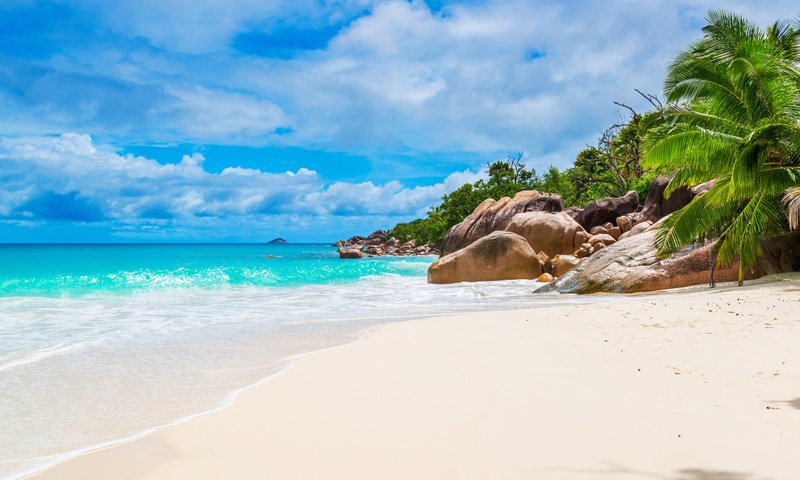 Обои море, пляж, остров, тропики, сейшелы, sea, beach, island, tropics, seychelles разрешение 6605x4408 Загрузить