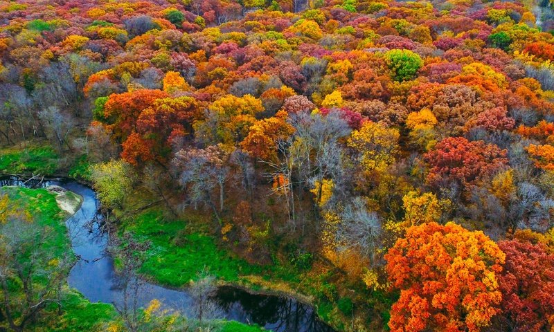 Обои деревья, река, природа, лес, листья, осень, trees, river, nature, forest, leaves, autumn разрешение 2880x1800 Загрузить