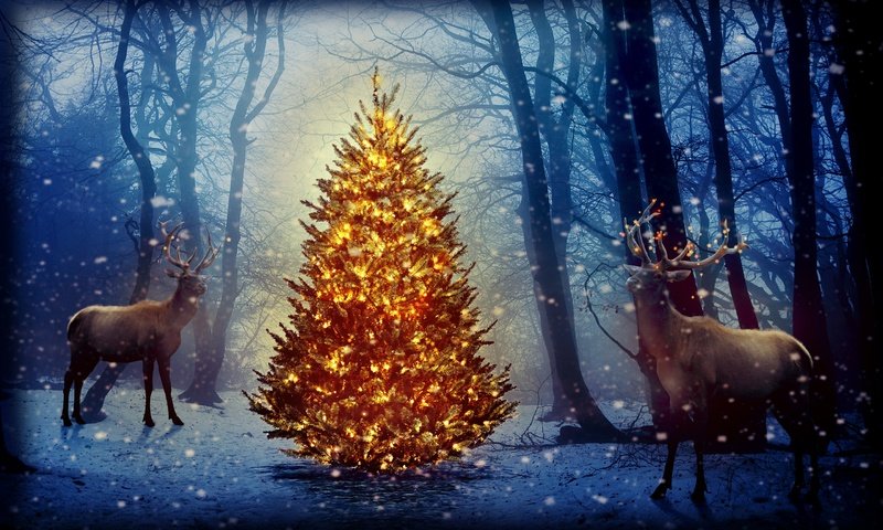 Обои новый год, елка, лес, олени, рождество, new year, tree, forest, deer, christmas разрешение 2880x1800 Загрузить