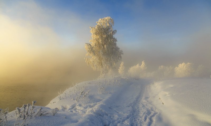 Обои дорога, следы, снег, sergeo, природа, дерево, зима, пейзаж, туман, иней, road, traces, snow, nature, tree, winter, landscape, fog, frost разрешение 1920x1200 Загрузить