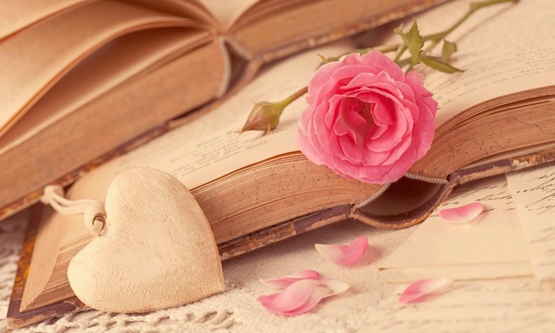 Обои цветок, роза, лепестки, книги, сердце, любовь, романтика, flower, rose, petals, books, heart, love, romance разрешение 5616x3744 Загрузить