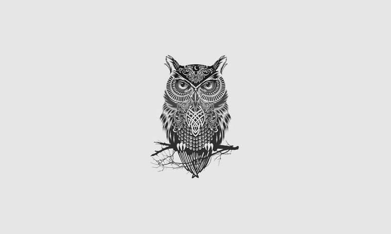 Обои арт, сова, минимализм, птица, art, owl, minimalism, bird разрешение 1920x1080 Загрузить