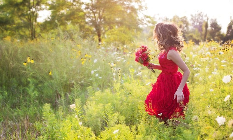 Обои цветы, природа, девушка, луг, волосы, букет, красное платье, flowers, nature, girl, meadow, hair, bouquet, red dress разрешение 4651x3100 Загрузить