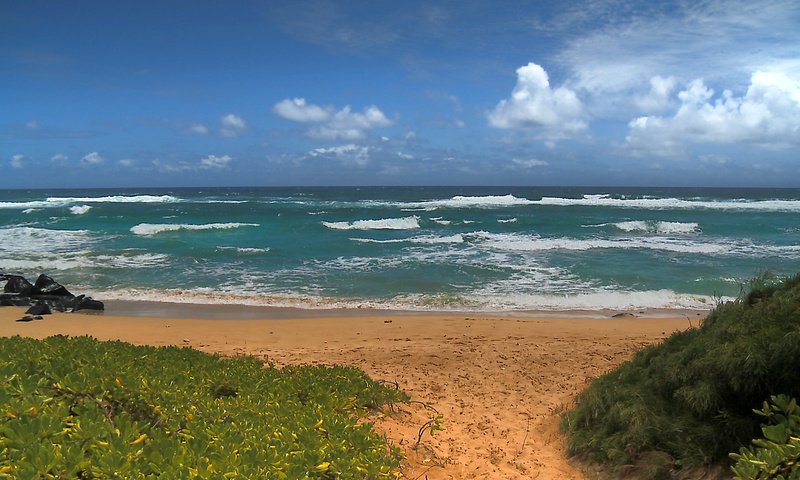Обои облака, волны, море, пляж, clouds, wave, sea, beach разрешение 1920x1080 Загрузить