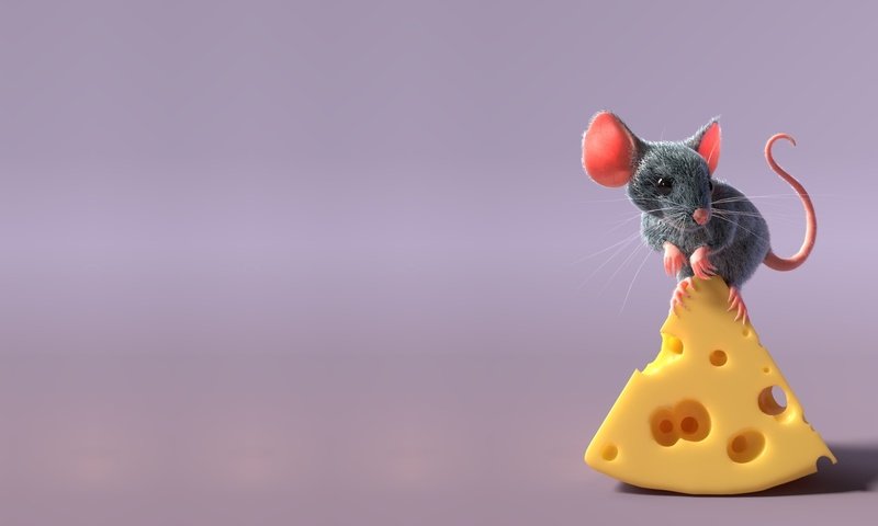 Обои рендеринг, сыр, мышь, хвост, мышка, детская, freelancer, sergey pletnev, mouse and cheese, rendering, cheese, mouse, tail, children's разрешение 2048x1188 Загрузить