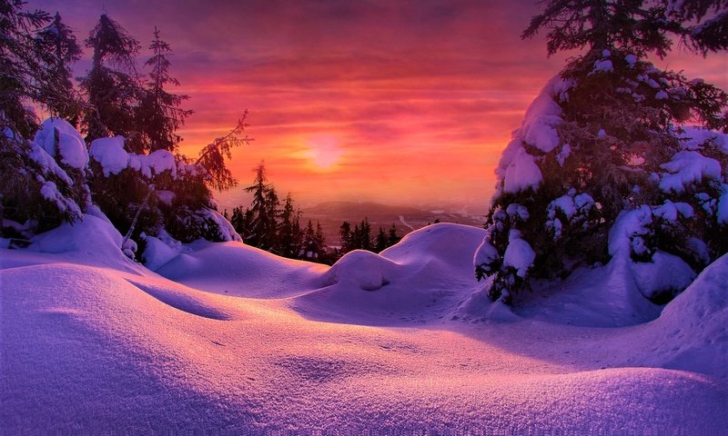 Обои снег, закат, зима, ели, snow, sunset, winter, ate разрешение 2048x1363 Загрузить
