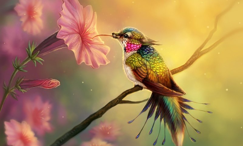 Обои цветы, арт, птица, клюв, перья, колибри, цифровое искусство, flowers, art, bird, beak, feathers, hummingbird, digital art разрешение 2560x1440 Загрузить