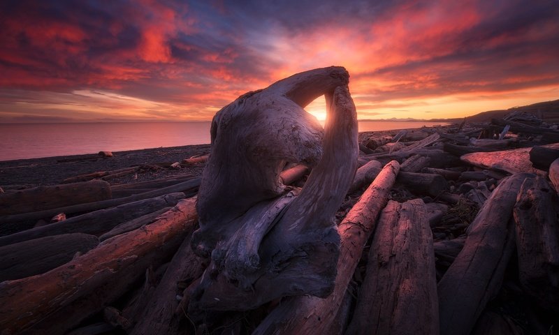 Обои берег, закат, море, коряга, shore, sunset, sea, snag разрешение 2048x1373 Загрузить