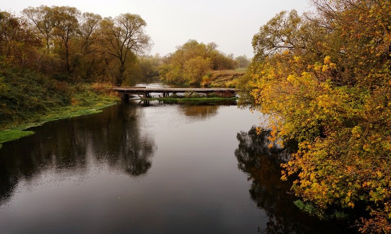 Обои деревья, река, природа, мост, осень, trees, river, nature, bridge, autumn разрешение 6000x4000 Загрузить