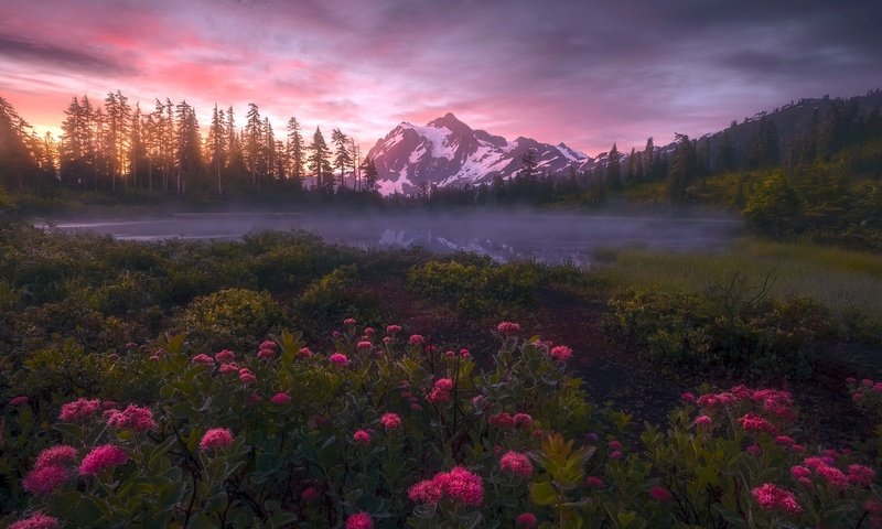 Обои цветы, природа, закат, flowers, nature, sunset разрешение 2048x1300 Загрузить