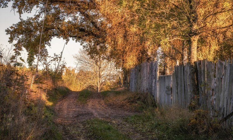 Обои дорога, осень, забор, road, autumn, the fence разрешение 3840x2160 Загрузить
