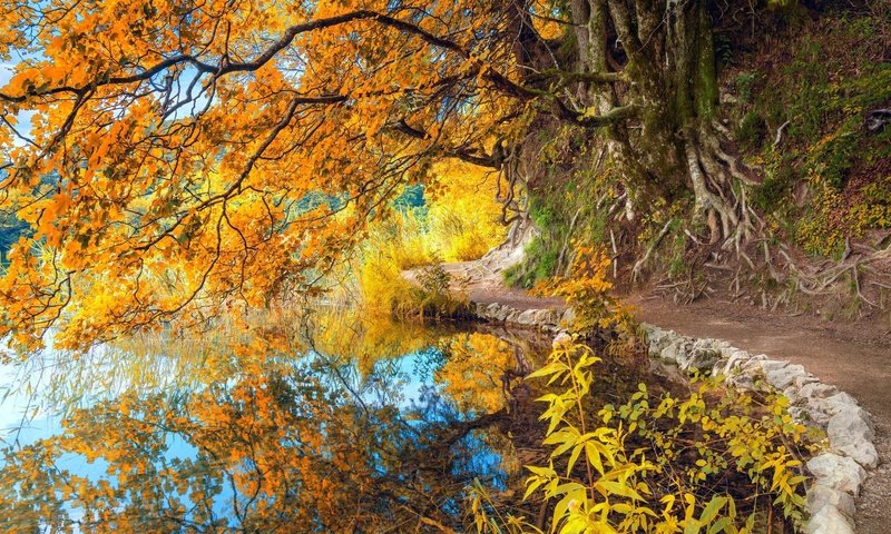 Обои отражение, парк, осень, пруд, reflection, park, autumn, pond разрешение 1920x1080 Загрузить