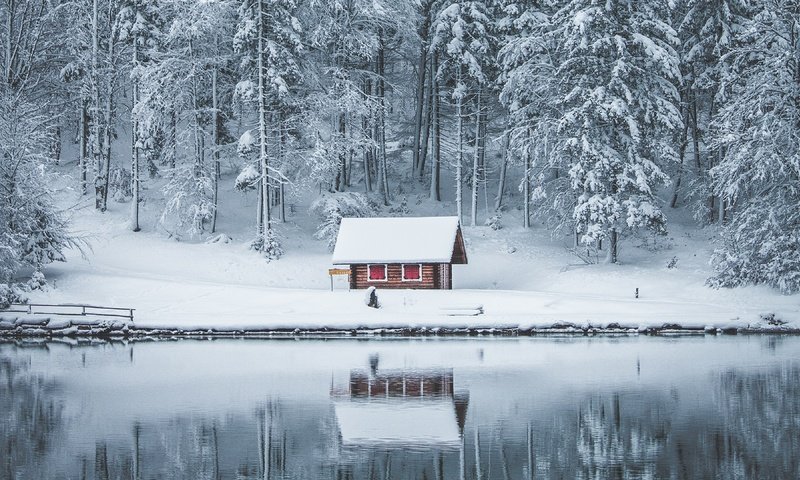 Обои снег, лес, зима, отражение, водоем, домик, snow, forest, winter, reflection, pond, house разрешение 3840x2160 Загрузить
