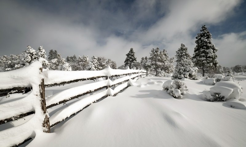 Обои снег, зима, забор, snow, winter, the fence разрешение 2047x1302 Загрузить