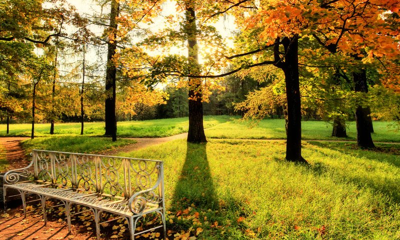 Обои деревья, парк, осень, скамейка, солнечные лучи, trees, park, autumn, bench, the sun's rays разрешение 3840x2160 Загрузить
