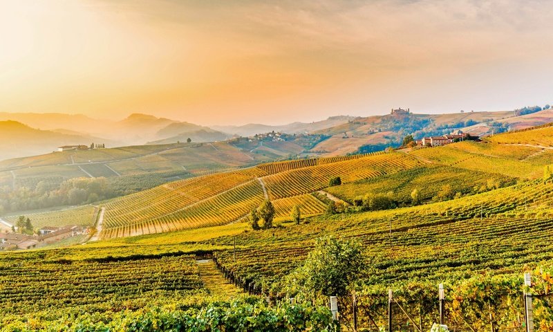 Обои холмы, италия, виноградники, пьемонт, hills, italy, the vineyards, piedmont разрешение 5130x2886 Загрузить
