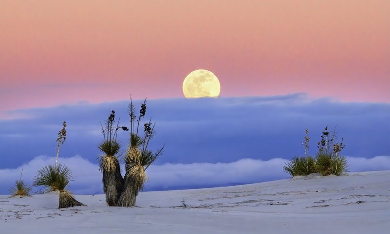 Обои пустыня, луна, сша, нью-мексико, white sands national monume, desert, the moon, usa, new mexico разрешение 2048x1356 Загрузить
