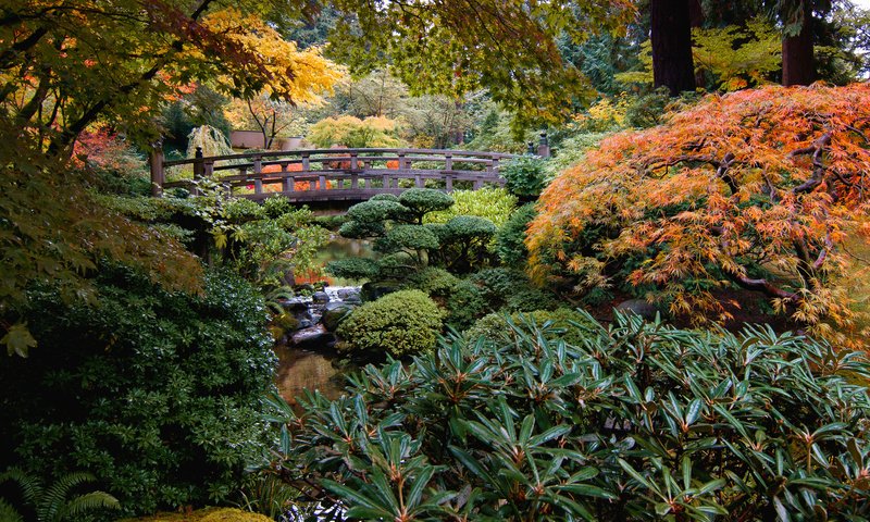 Обои природа, ручей, кусты, мост, сад, сша, японский сад, portland japanese garden, nature, stream, the bushes, bridge, garden, usa, japanese garden разрешение 3957x2507 Загрузить