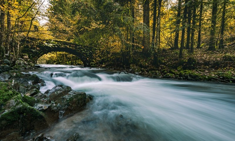 Обои река, лес, мост, осень, river, forest, bridge, autumn разрешение 7360x4585 Загрузить