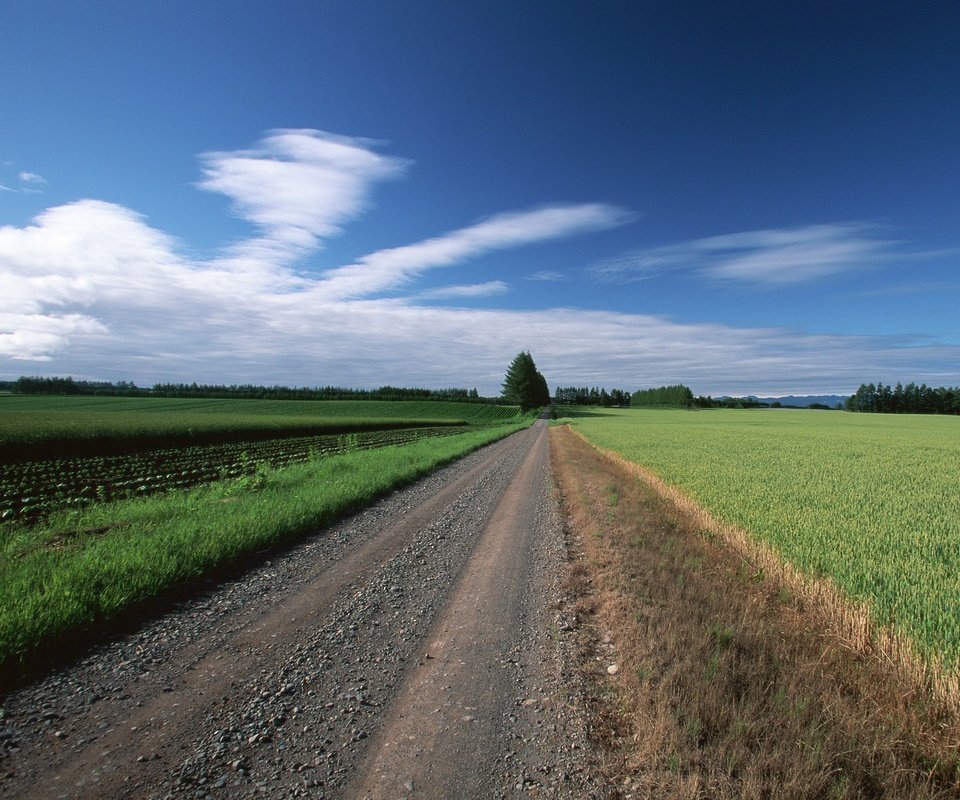 Обои дорога, облака, деревья, поле, road, clouds, trees, field разрешение 1920x1440 Загрузить