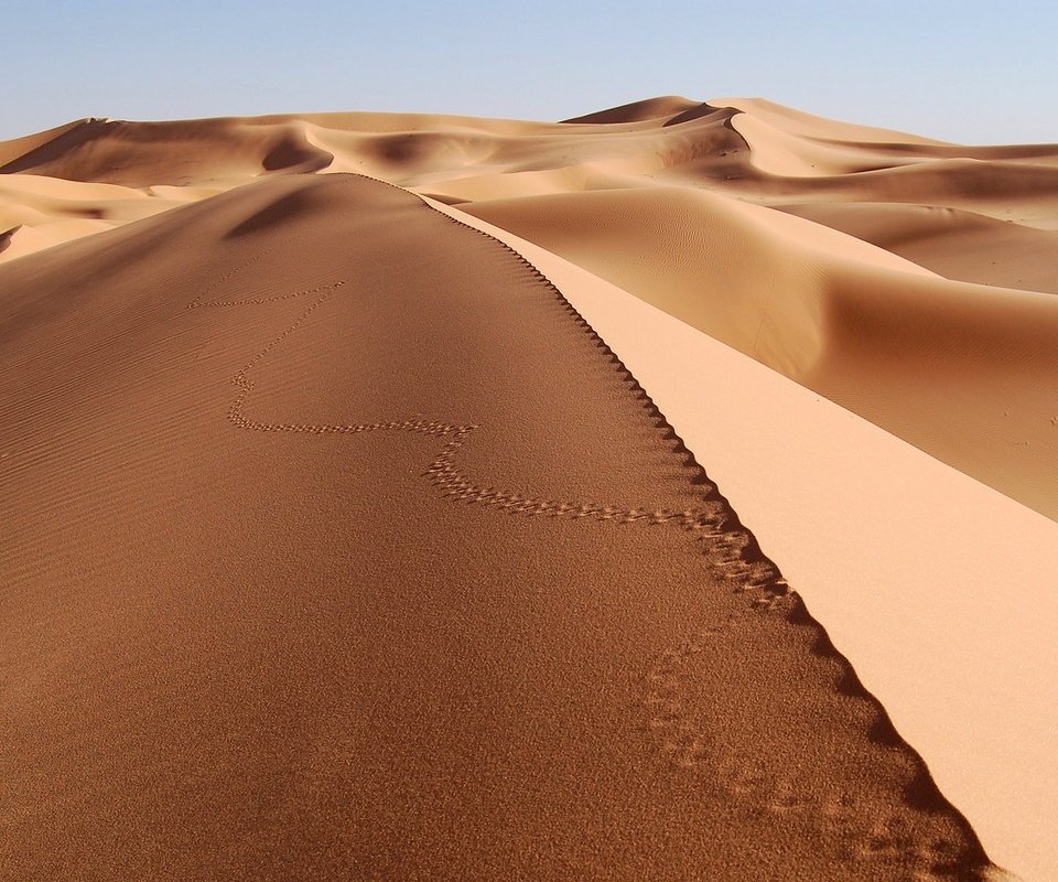 Обои песок, пустыня, следы, sand, desert, traces разрешение 1920x1080 Загрузить